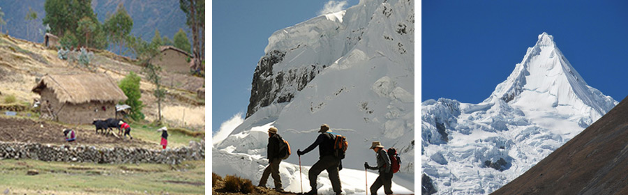 	
Trekking Cedros Alpamayo